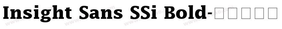 Insight Sans SSi Bold字体转换